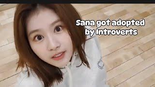 Sana the energetic Extrovert