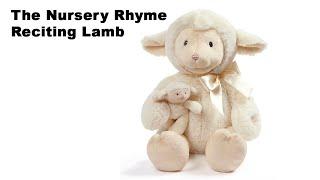 The Nursery Rhyme Reciting Lamb