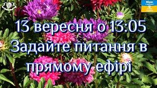 13 вересня о 13:05 Поговоримо про "Цілющі властивості АЙСТРИ"