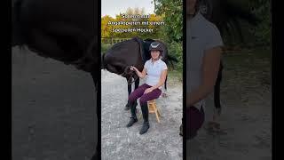 Tutorial Angaloppieren  #pony #equestrian #pferd #tutorial #galopp