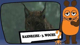 Bahnreise - 3. Woche