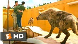 Kung Fu Yoga (2017) - The Hyena Pit Scene (7/10) | Movieclips