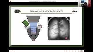 2021 Lecture 3.5 - Combining Neuropixels with imaging - Andrew Peters (UCL)