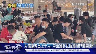 大掃蕩救出上千人! 中泰緬將瓦解緬甸詐騙園區｜TVBS新聞 @TVBSNEWS01