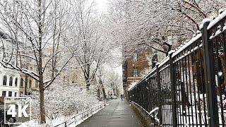 Relaxing Snowy Walk Down Historic Convent Ave. in Harlem, Manhattan | 4K NYC Walking Tour