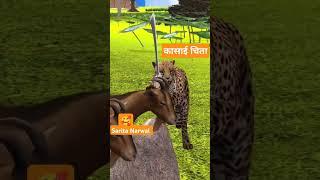 कासाई चिता#cartoon story #hindi story #moral story#animal story#toptrending story #explorepage
