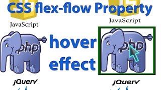 CSS flex-flow property | CSS image zoom on hover inside a div | Scale on Hover with Transition