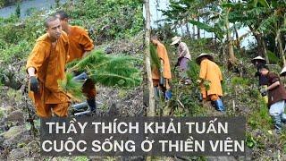 THẦY THÍCH KHẢI TUẤN - Cùng đi trồng cây tại thiền viện