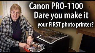 Canon PRO-1100 as your first art and photo printer? Getting to grips with the PRO-1100