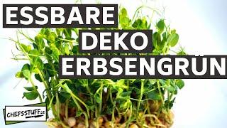 Essbare Deko - Erbsengrün | Erbsenkresse | Erbsen Anbauen | Microgreen | Dekor | Kresse | Garnitur