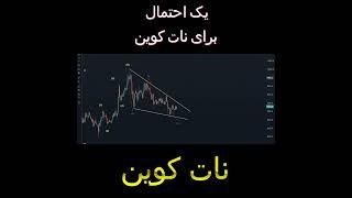 نات کوین