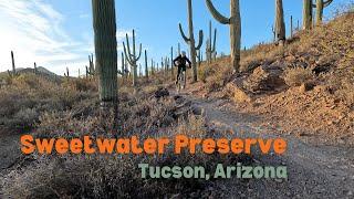 Sweetwater Preserve MTB Trails in Tucson, Arizona