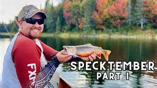 Fall in Algonquin | A Weekend Adventure Chasing Trout | Brook Trout Fishing