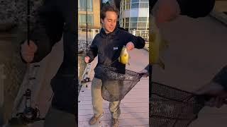 Bass DEMOLISHES Squarebill? #fishing #shorts