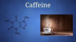 Caffeine: What You Need To Know