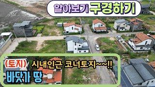 (구경하기 no 1118)  바닷가 땅 토지  대부도 전원주택부지 주말농장 / 대부도부동산