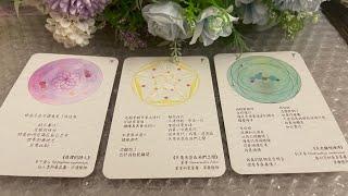 「擺渡人tarot」窺看他內心對妳的情感 #愛情塔羅占卜 #塔羅占卜 #分手斷聯