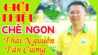 Chè Ngon Tân Cương Thái Nguyên | HTX Trà Xanh Thái Nguyên