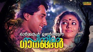 ഓർമ്മകൾ ഉണർത്തുന്ന സിനിമാ ഗാനങ്ങൾ | Evergreen Malayalam Film Songs