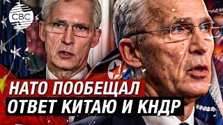 «Россия в отчаянии»: НАТО и США готовы дать России отпор в Азии на фоне визита Путина в КНДР