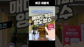 프랜차이즈 매머드커피 창업비용? 실제 순수익은 얼마나 될까~?