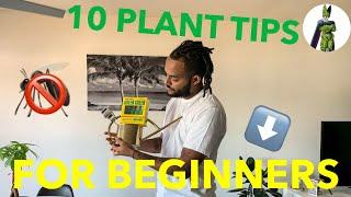 Why Won’t My Plants Grow!? 10 Plant Tips For Beginners