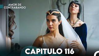 Amor De Contrabando Capitulo 116 (Doblada En Español)