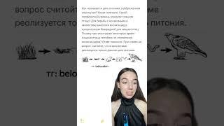 забирай 3 месяца БЕСПЛАТНОЙ подготовки к ЕГЭ по биологии в моем тг: belovabio