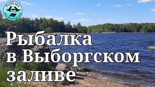 Рыбалка в Выборгском заливе.