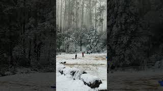 #snow #holiday #relaxing #fun #coldweather #love