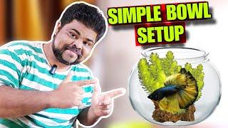 Betta Fish Bowl Setup | Betta Fish Bowl Decoration Ideas | Prathmesh Aquatics