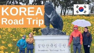 KOREA 속초 & 설악산  Road Trip  SOKCHO & SEORAKSAN National Park | Family World Travel Korea Vlog 2024