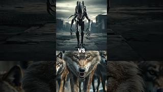 Xenomorph alien vs Wolf vs Gaint Creatures (Godzilla, Wendigo, Gosht rider, hell boy, Predator)