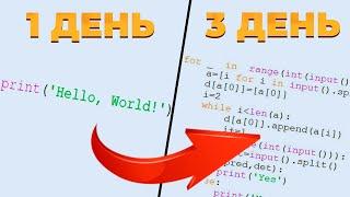 Как Выучить Python За 3 Дня