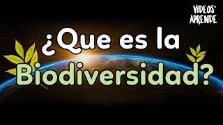 ¿Qué es la biodiversidad? - Videos Aprende