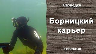 Борницкий карьер. Подводная охота в Ленинградской области. гидрокостюмы HAMMERFISH