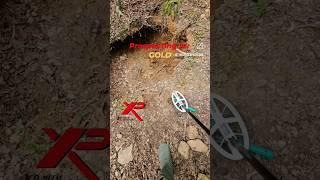 Prospecting for Gold with the XP ORX Metal Detector. ️ #goldprospecting #shorts