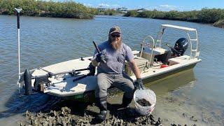 How to Harvest Oysters in Florida! | Catch, Clean, Cook | Chargrilled Oysters