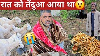 Gujjar Nomadic Shepherd's लोगों को सब परेशान कर रहे हैं, CAMPING WITH NOMADIC SHEPHERD'S IN DEEP