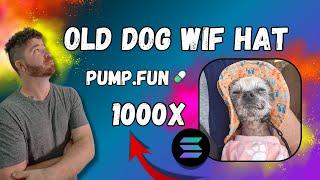 Old Dog Wif Hat -1000X Incoming!