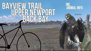 Bayview Trail Ride Through | 4K Newport Back Bay | Back Bay Loop Inc. Wildlife Info