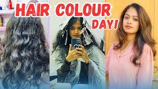 Hair Colouring നല്ലതാണോ?| Bleach or Without Bleach??| Devika Jithesh