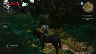 The Witcher 3: Amazing Horse