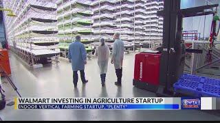 Walmart invests in indoor vertical farming startup Plenty