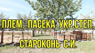 Поездка на племенную пасеку украинской степной пчелы к   Староконь С. И . "Днепровский пасечник"  .