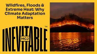 Wildfires, Floods and Extreme Heat: Why Climate Adaptation Matters with Intact Centre