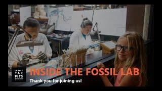 Inside the Fossil Lab: All About Bones