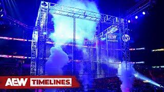 BRUTALITY! Cage Matches in AEW! | AEW Timelines