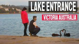 Lake Entrance Victoria  - Lake entrance Victoria Australia 4k