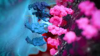 Versatile Anti-Linker Antibodies to Detect CAR Molecules | Cell Signaling Technology